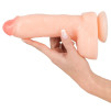 FALLO REALISTICO CON VENTOSA REALISTIC DONG 8