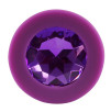 PLUG JEWEL VIOLA - COLORFUL JOY - PLUG JEWEL VIOLA - COLORFUL JOY -