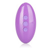 Venus Butterfly Silicone Remote Venus Butterfly Venus Butterfly Silicone Remote Venus Butterfly