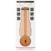MASTURBATORE VAGINA REALISTICA FLESHLIGHT KIMMY GRANGER MASTURBATORE VAGINA REALISTICA FLESHLIGHT KIMMY GRANGER